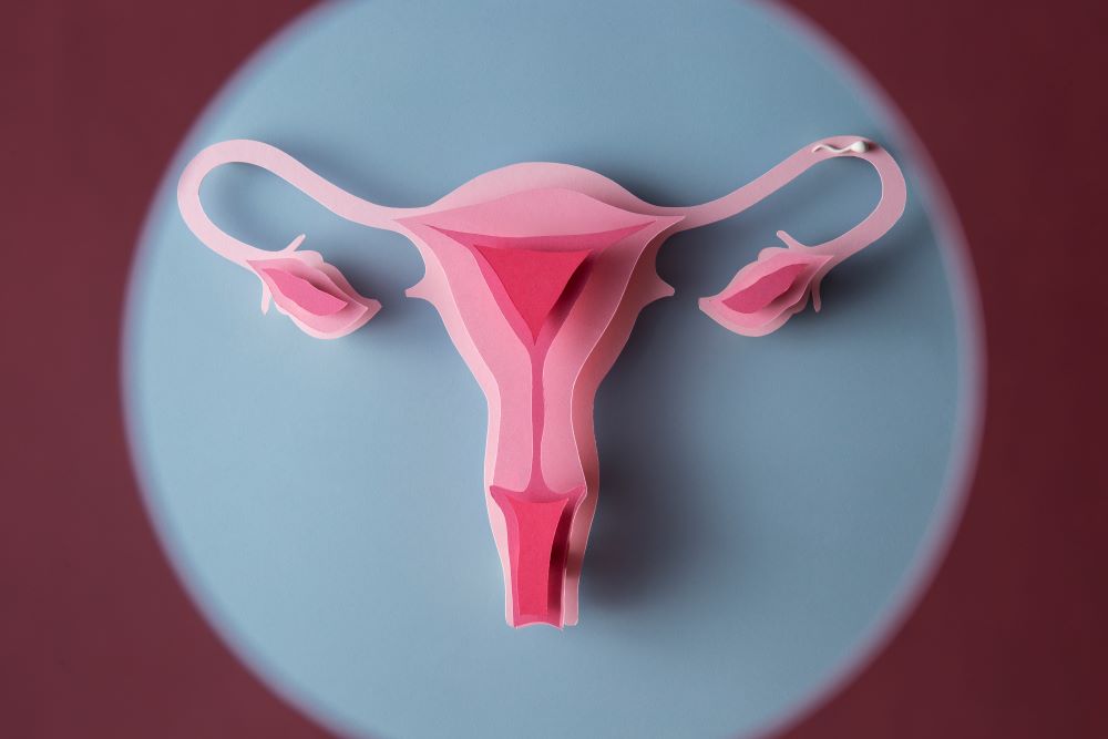 Polipi, chist sau fibrom uterin: care sunt diferentele?
